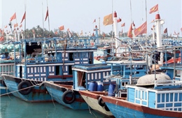Chủ động ứng phó với bão số 8